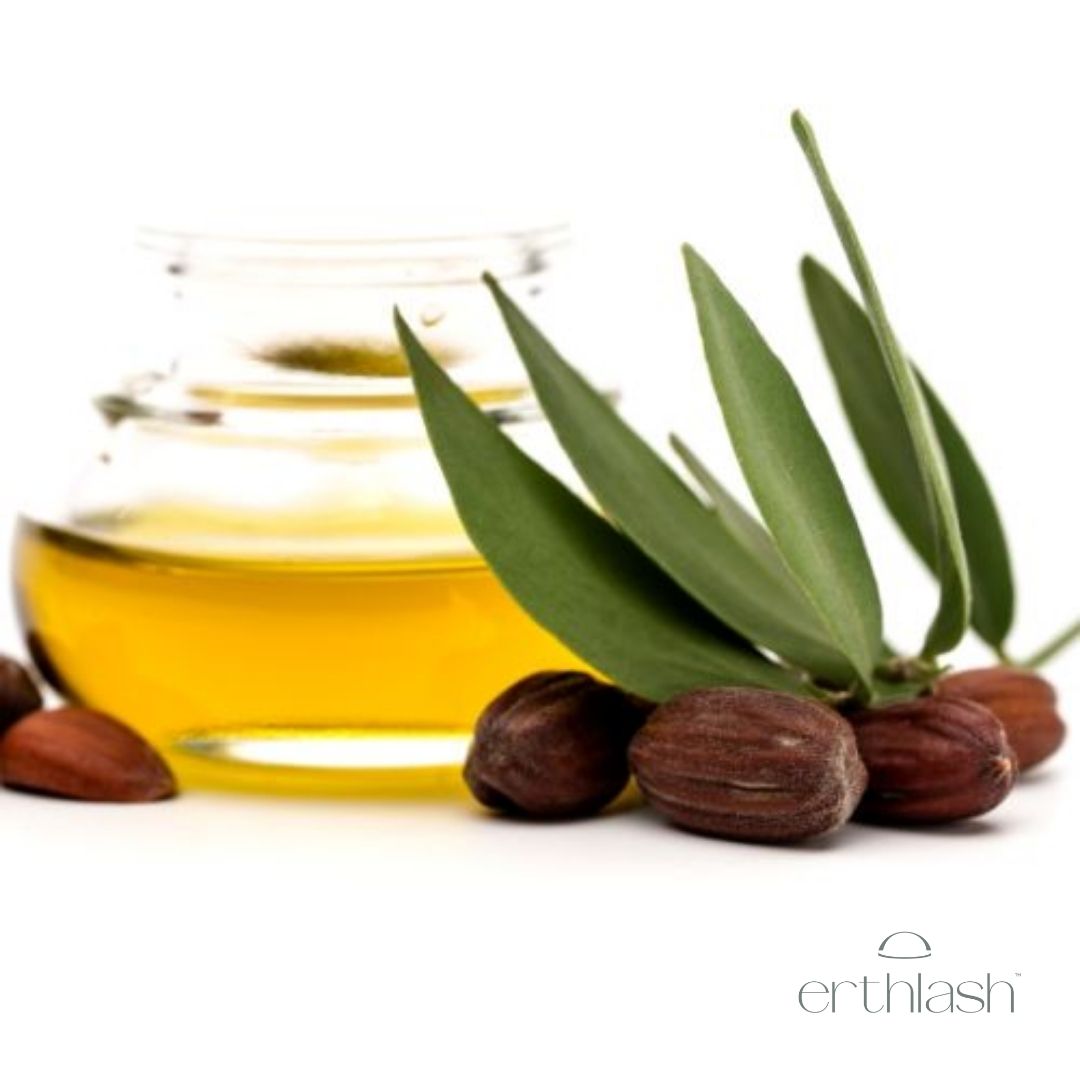 Jojoba oil natural ingredient for lash conditioning and eye-safe hydration